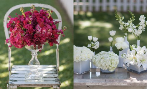 Flowers AZB SS14 b.indd